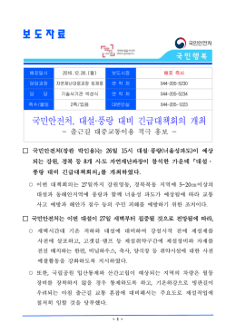 긴급대책회의 - 국민안전처