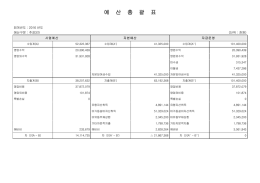 예 산 총 괄 표