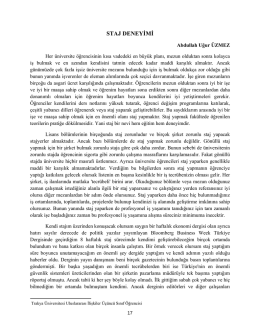 staj deneyimi - Uluslararası İlişkiler &Ouml;ğrenci Dergisi