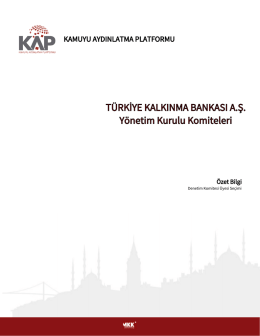TÜRKİYE KALKINMA BANKASI A.Ş. Yönetim Kurulu Komiteleri