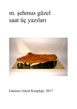 Kitabı PDF formatında okumak için tıklayınız