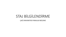 StajB - Çağ Üniversitesi