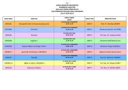 HEM101 Hemşirelik Tarihi ve Kavramsal Çerçevesi AMFİ 2 Prof. Dr
