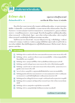 ตัวอย่างเนื้อหา