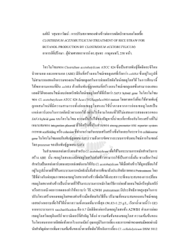 เมทินี วสุนธราวัฒน  : การปรับสภาพของฟางข  าวต   C