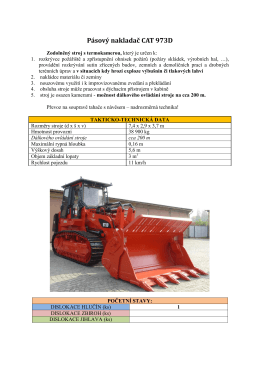 P&aacute;sov&yacute; nakladač CAT 973D