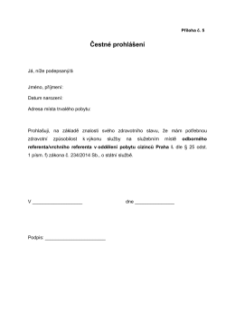 Čestné prohlášení