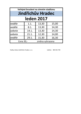 veřejné bruslení leden 2017