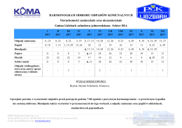 Gmina Lidzbark &ndash; Sektor IIIA