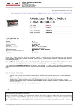 Akumulator Tuborg Hobby 100Ah TM600-000