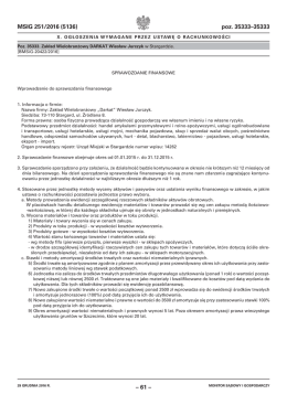 Sprawozdanie finansowe  - Internetowy Monitor Sądowy i