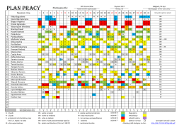 plan pracy - interfazi