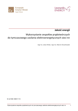 Wykorzystanie zespołów prądotwórczych - Leonardo