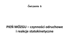 Jądro przedsionkowe