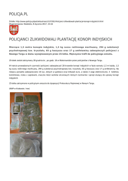 policja.pl policjanci zlikwidowali plantację konopi indyjskich