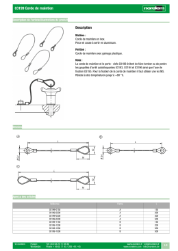 03199 Corde de maintien