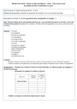 PROJET DE ZONE "Ateliers et défis scientifiques"