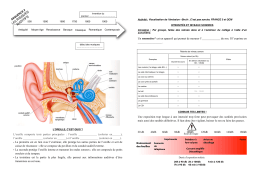 Fiche élèves 4°_Les risques auditifs