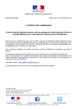 CP_calamite_naturelle_26122016