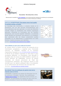 VERSION FRAN&Ccedil;AISE Newsletter #3 (D&eacute;cembre