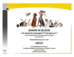 Un animal de compagnie? c`est quoi ça