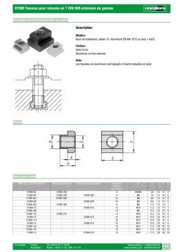 07060 Tasseau pour rainures en T DIN 508 extension de