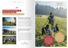 Une histoire de moutons, de chiens et de bergers Von Schafen