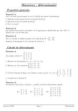 Exercices : d&eacute;terminants