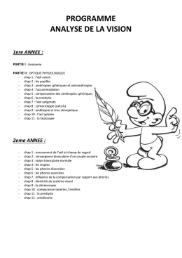 PROGRAMME ANALYSE DE LA VISION 1ere ANNEE