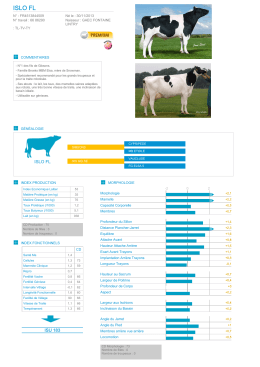 Fiche taureau : ISLO FL