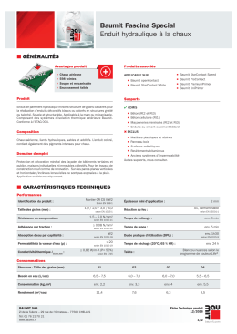 Baumit Fascina Special Enduit hydraulique à la chaux