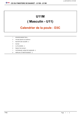 D3C - Comit&eacute; de Basket Ball du Finist&egrave;re
