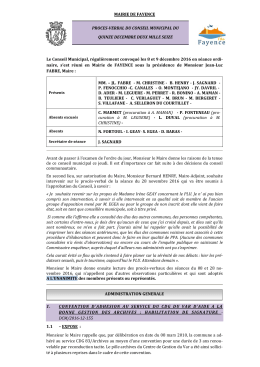 Procès-Verbal - Conseil Municipal
