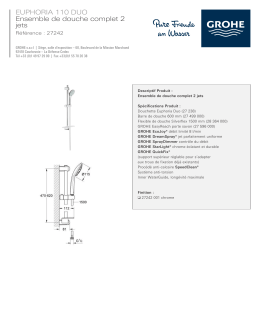 grohe barre euphoria 2 jets 27 242 001