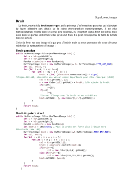 Bruit et restauration d`images - pierre