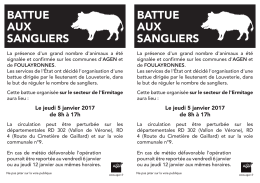 battue aux sangliers battue aux sangliers