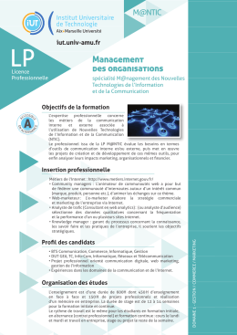 Licence pro M@ntic