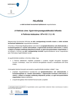 felhívás - palyazat.gov.hu