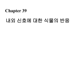 내외 신호에 대한 식물의 반응