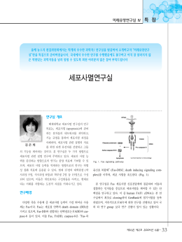 세포사멸연구실 - 한국분자세포생물학회