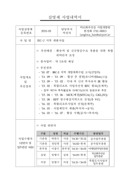 161123 2016 실명제 사업내역서  .hwp
