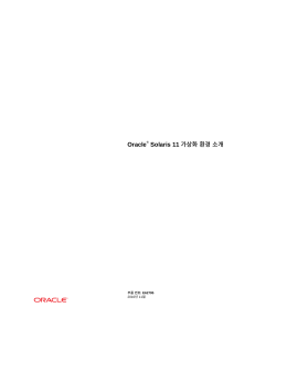 Oracle® Solaris 11 가상화 환경 소개