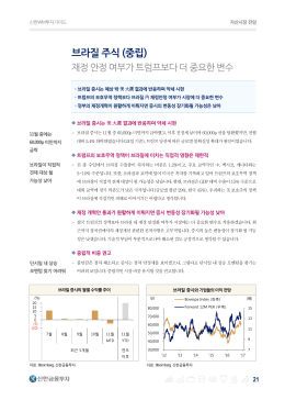 브라질 주식 (중립)