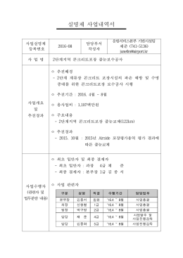 161123 2016 실명제 사업내역서  .hwp