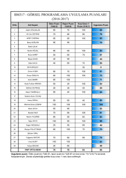 bm317 - görsel programlama uygulama puanları (2016