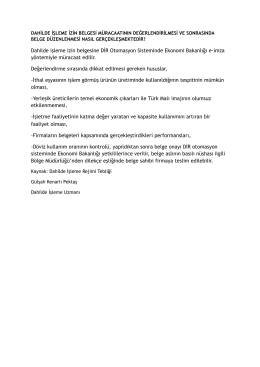 Dahilde işleme izin belgesine DİR Otomasyon Sisteminde Ekonomi