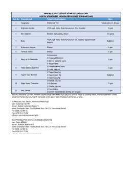 2017 Hizmet Standartları