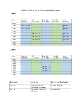 Cam Bil Ve Tekn Lisans&uuml;st&uuml;
