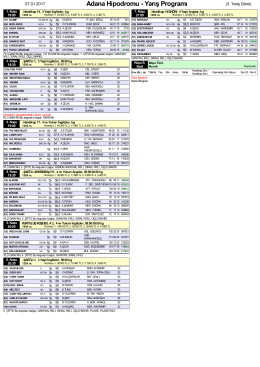 &Ouml;zet PDF Programı