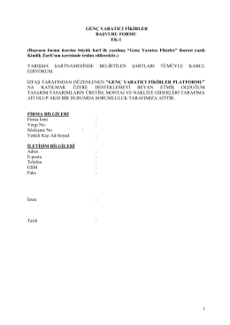 1 GEN&Ccedil; YARATICI FİKİRLER BAŞVURU FORMU EK - Marble